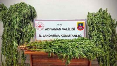 Adıyaman İl Jandarma Komutanlığı ekipleri, uyuşturucu satıcılarına karşı operasyon düzenledi
