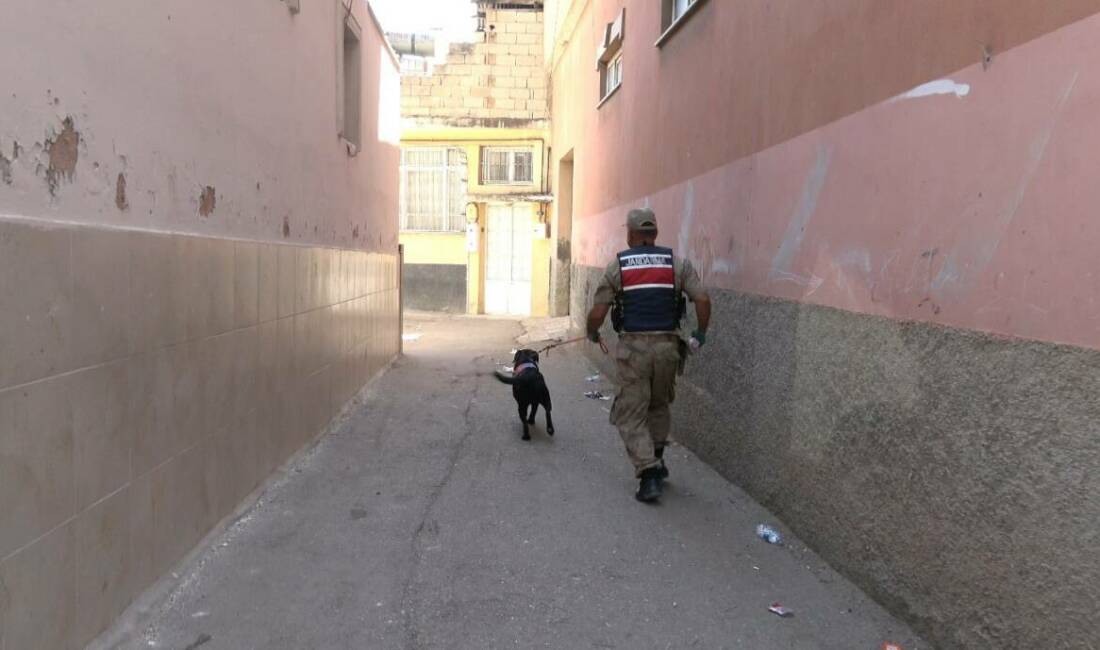 Kilis'te dün akşam kaybolan 2 yaşındaki kız çocuğu için geniş