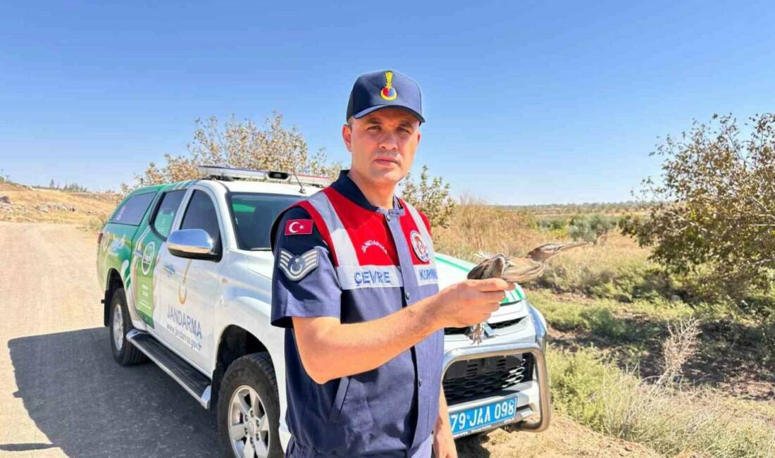 Kilis'te koruma timi tarafından yaralı ve bitkin halde bulunan Küçük