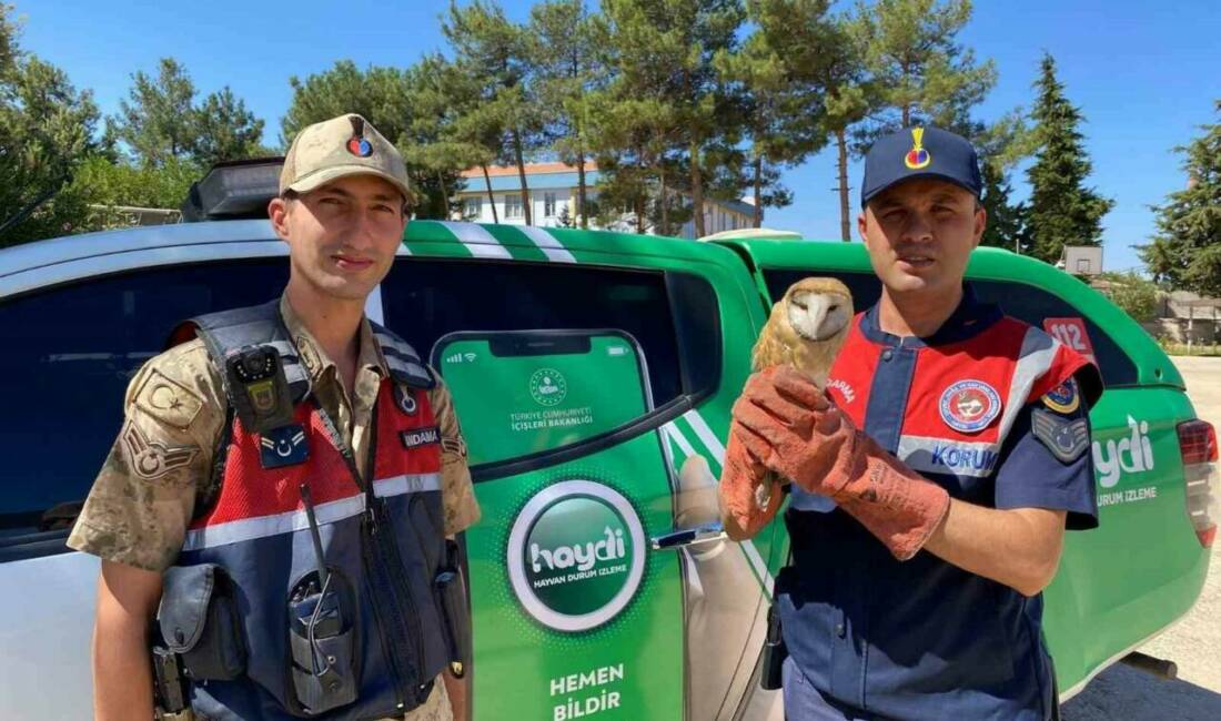 Kilis'in Elbeyli ilçesine bağlı Alahan köyünde jandarma devriyesi sırasında yaralı
