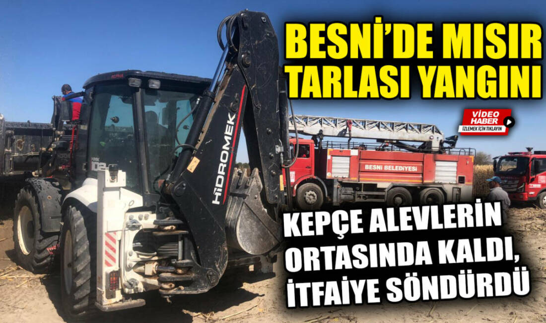 Besni'ye bağlı Kargalı Köyü’nde çıkan mısır tarlası yangınında, alevlere müdahale