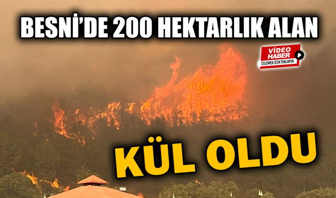 Besni'ye bağlı Terbizek kavşağı karşısındaki ormanlık alanda çıkan yangında 200