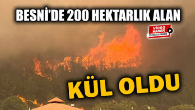Besni'ye bağlı Terbizek kavşağı karşısındaki ormanlık alanda çıkan yangında 200