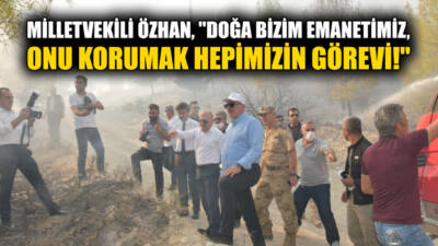 Besni'ye bağlı Terbizek Köyü yakınlarında çıkan orman yangını, ekiplerin yoğun