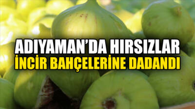 Cumhuriyet Mahallesi sakinleri, yabancı plakalı araçlarla dolaşan bazı kişilerin bahçelere