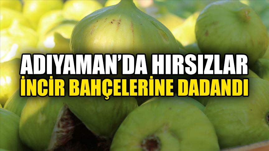 Cumhuriyet Mahallesi sakinleri, yabancı plakalı araçlarla dolaşan bazı kişilerin bahçelere