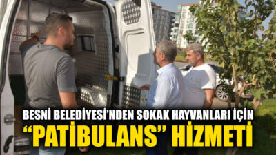 Besni Belediye Başkanı Reşit Alkan, ilçede sokak hayvanlarının sağlığı ve