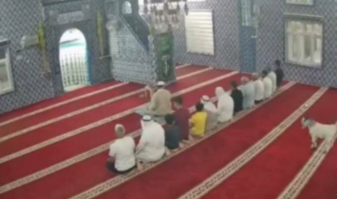 Mardin'in Kızıltepe ilçesinde bir camiye cemaat namaz kılarken içeri giren
