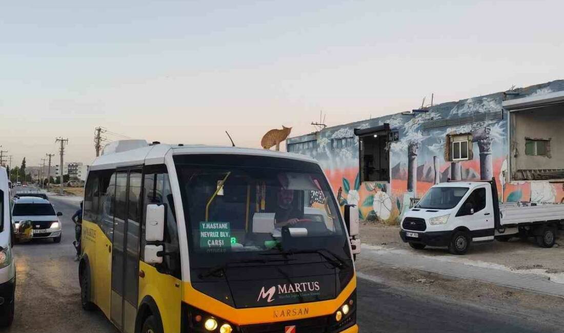 Mardin'de bir kedi, seyir halindeki dolmuşun üzerine çıkarak ilginç bir