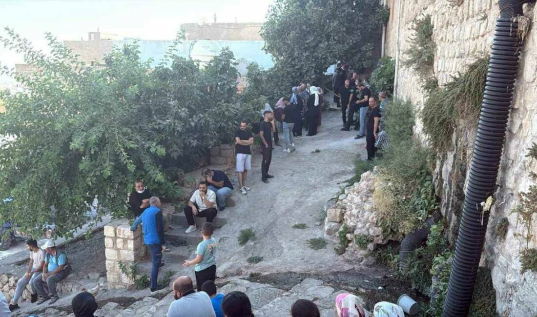 Mardin'in Artuklu ilçesinde, Teker Mahallesi'nde yaşayan Leyla Işıktaş (60) ve