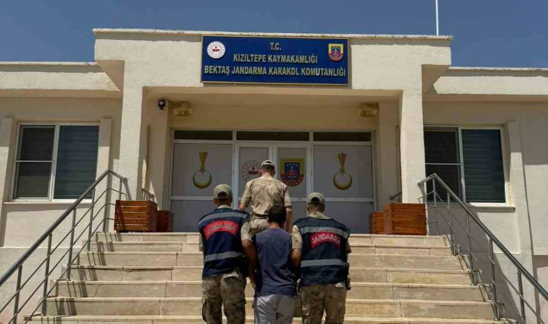 Mardin’de hayvanlara ilişkin uygunsuz paylaşım yapan şahıs gözaltına alındı Mardin'de hayvanların kısırlaştırılmasına yönelik uygunsuz paylaşım yapan bir kişi, Mardin