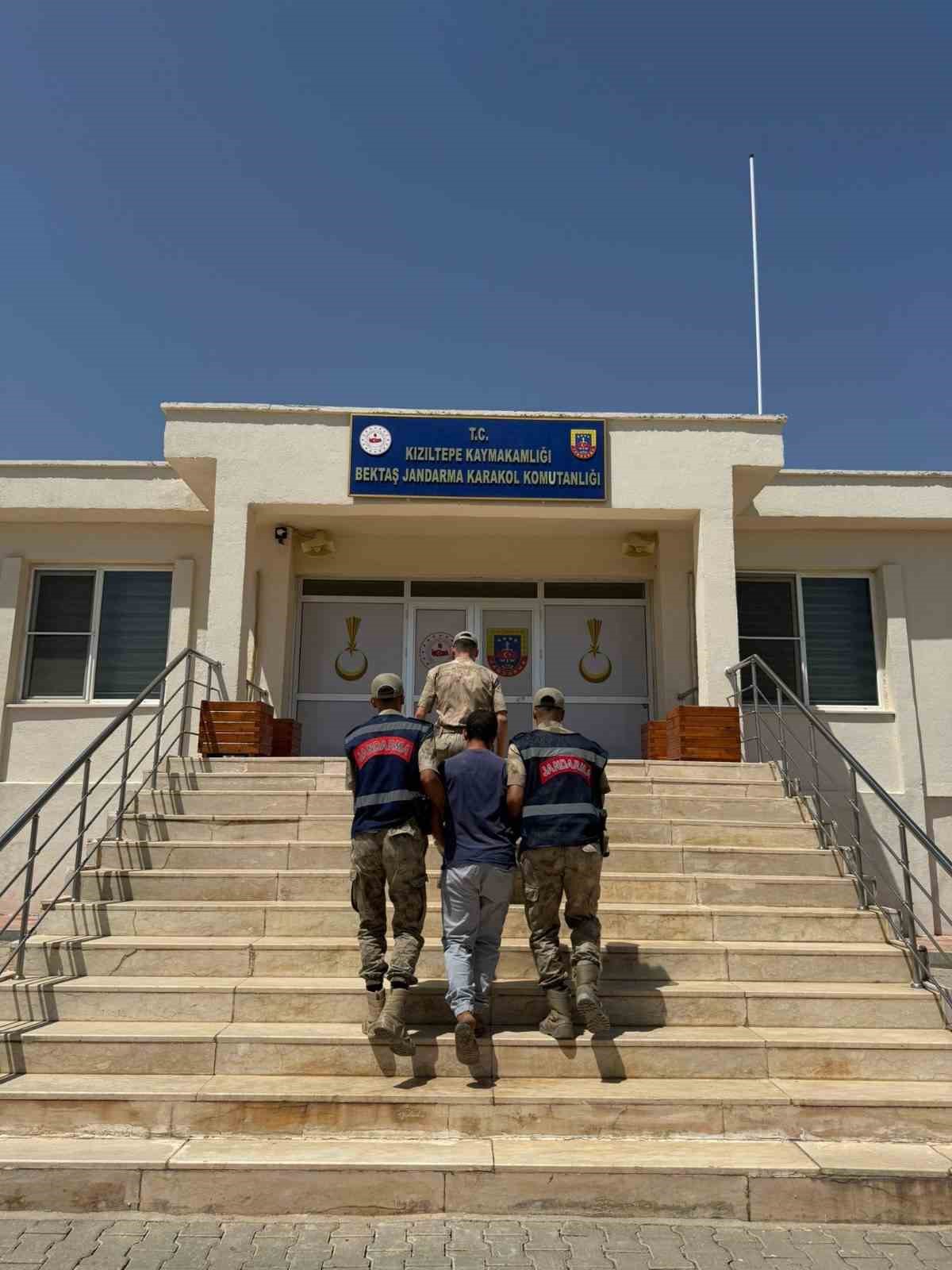 Mardin'de hayvanların kısırlaştırılmasına yönelik uygunsuz paylaşım yapan bir kişi, Mardin