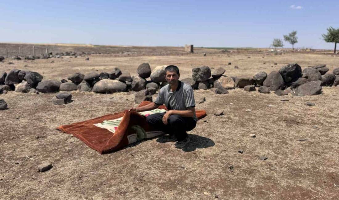 Mardin'in Derik ilçesine bağlı Akçay Mahallesi'nde 12 yaşındaki Zeynep Sut'un