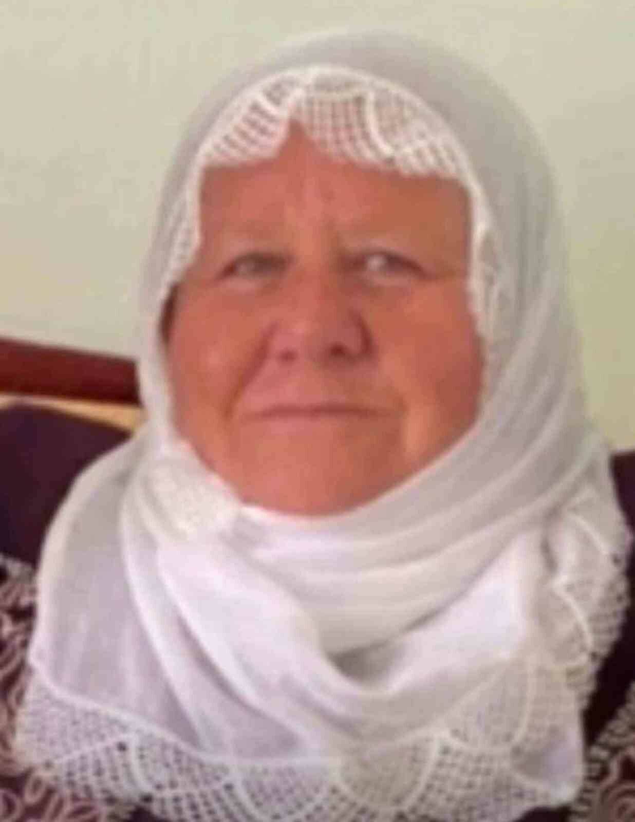 Mardin'in Midyat ilçesinde 60 yaşındaki Kadriye Akkurt, yolun karşısına geçmeye