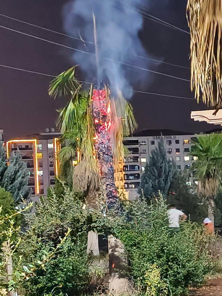 Mardin'in Kızıltepe ilçesinde bulunan bir parkta kimliği belirsiz kişiler tarafından
