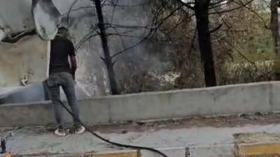 Adıyaman'ın Altınşehir Mahallesi'nde bulunan ağaçlık alanda çıkan kuru ot yangınına