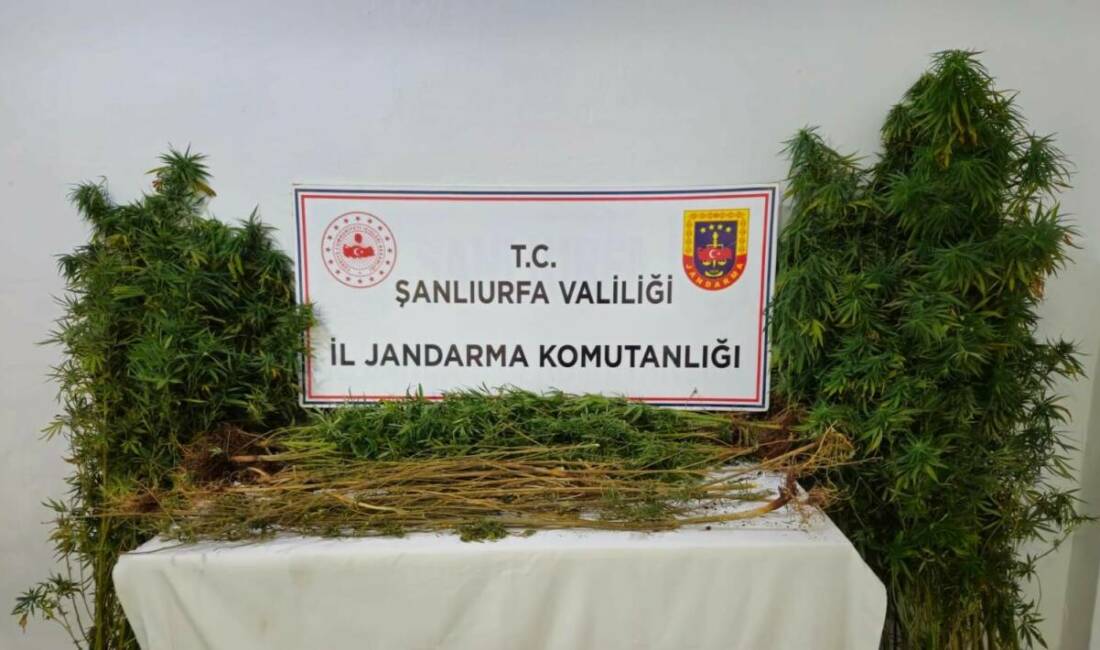 Şanlıurfa'da merkez ile 4 ilçede uyuşturucu ticareti yapan şahıslara yönelik