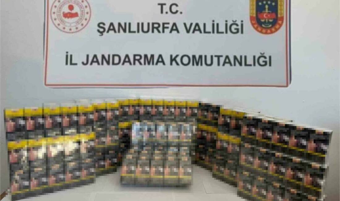 Şanlıurfa'da gerçekleşen operasyonda jandarma ekipleri tarafından 2 bin 130 paket