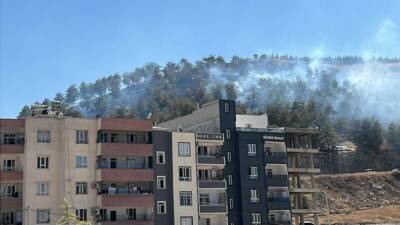 Şanlıurfa'nın Eyyübiye ilçesine bağlı Direkli Mahallesi'ndeki ağaçlık alanda çıkan yangın,