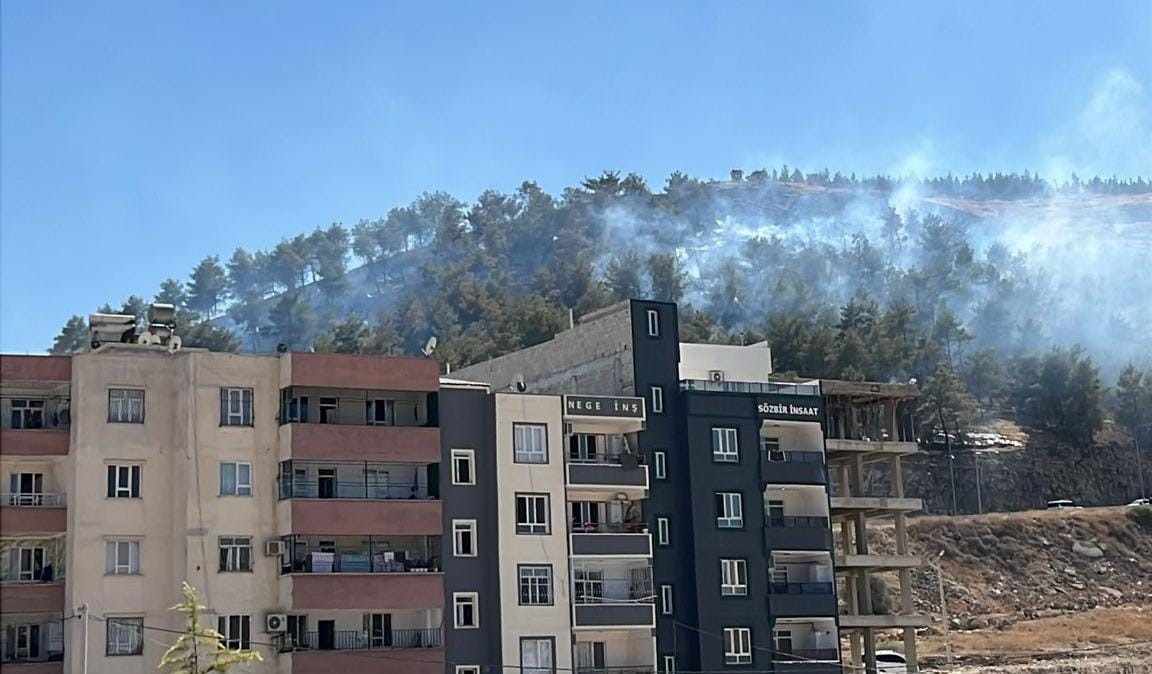 Şanlıurfa'nın Eyyübiye ilçesine bağlı Direkli Mahallesi'ndeki ağaçlık alanda çıkan yangın,
