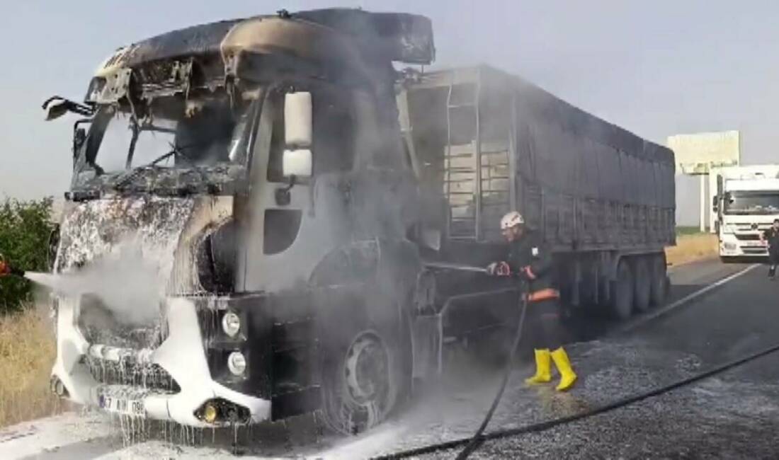 Şanlıurfa'nın Viranşehir ilçesinde seyir halindeyken alev alan bir tırın motor