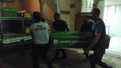 Şanlıurfa'da Şehitlik Çamlık Parkı'nda iki grup arasında çıkan bıçaklı kavgada