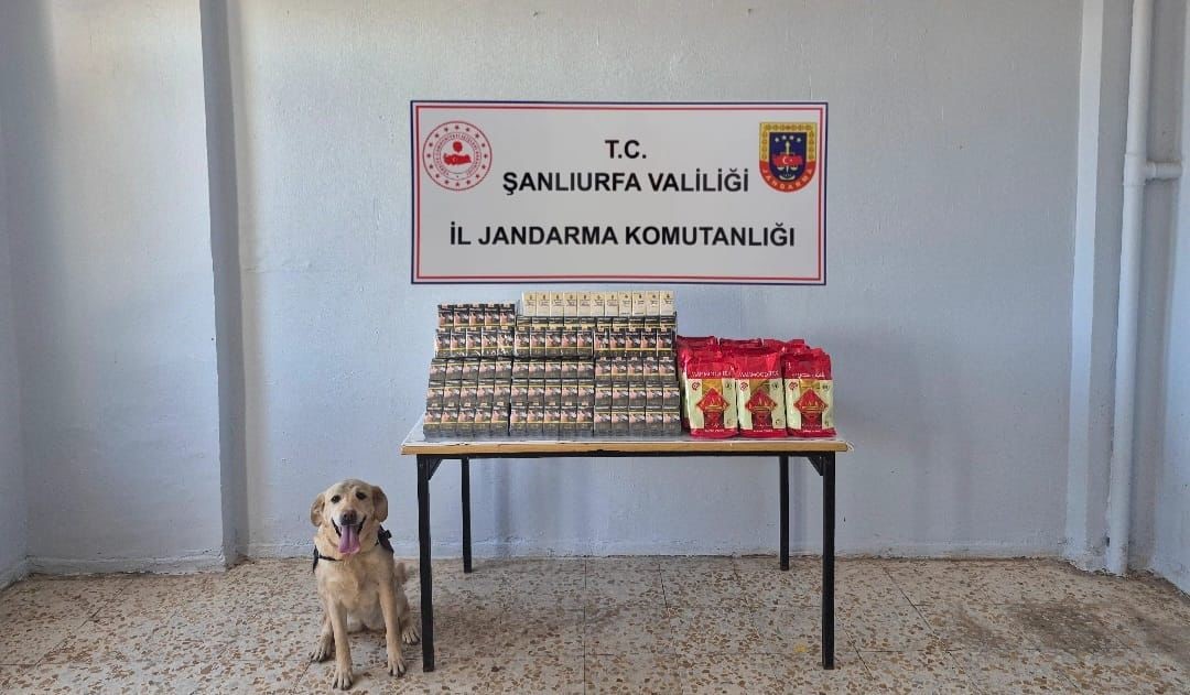 Şanlıurfa'da jandarma operasyonunda birçok gümrük kaçağı malzeme ele geçirildi. Operasyonda