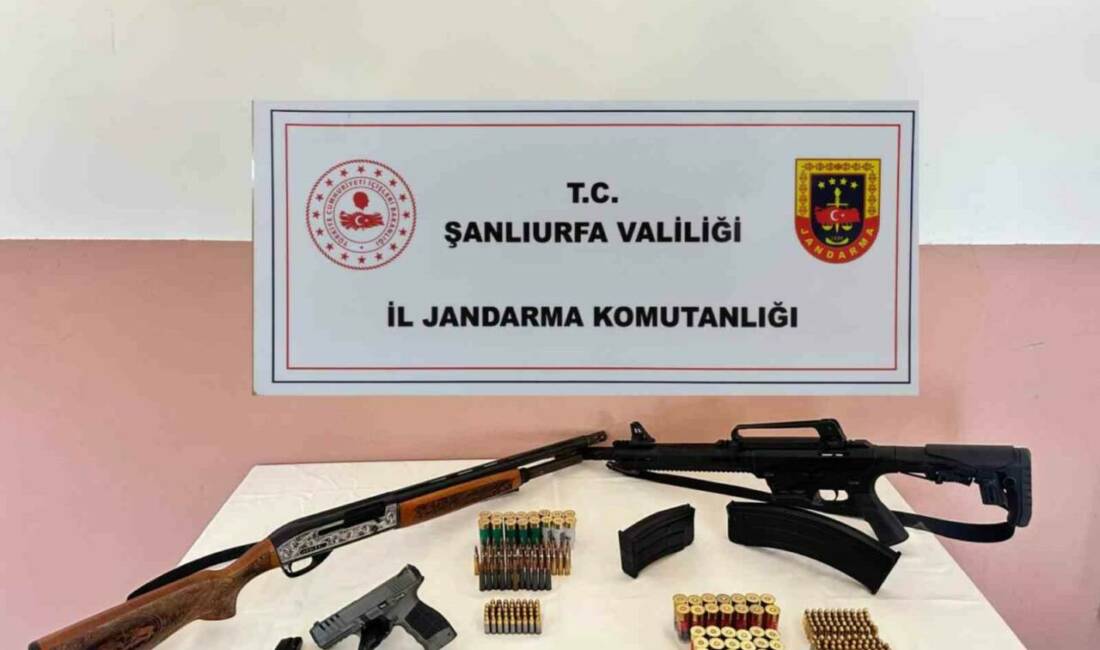 Şanlıurfa'da jandarma tarafından silah kaçakçılarına yönelik operasyonda 1 kişi gözaltına