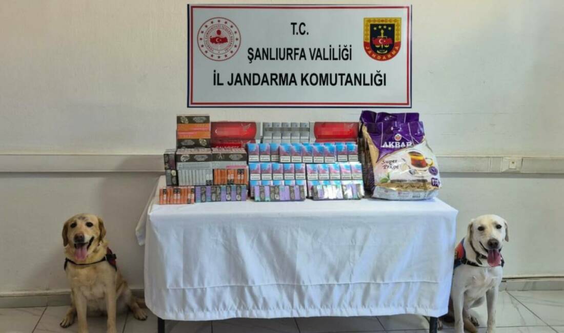Şanlıurfa İl Jandarma Komutanlığı ekipleri tütün ve alkol kaçakçılarına yönelik