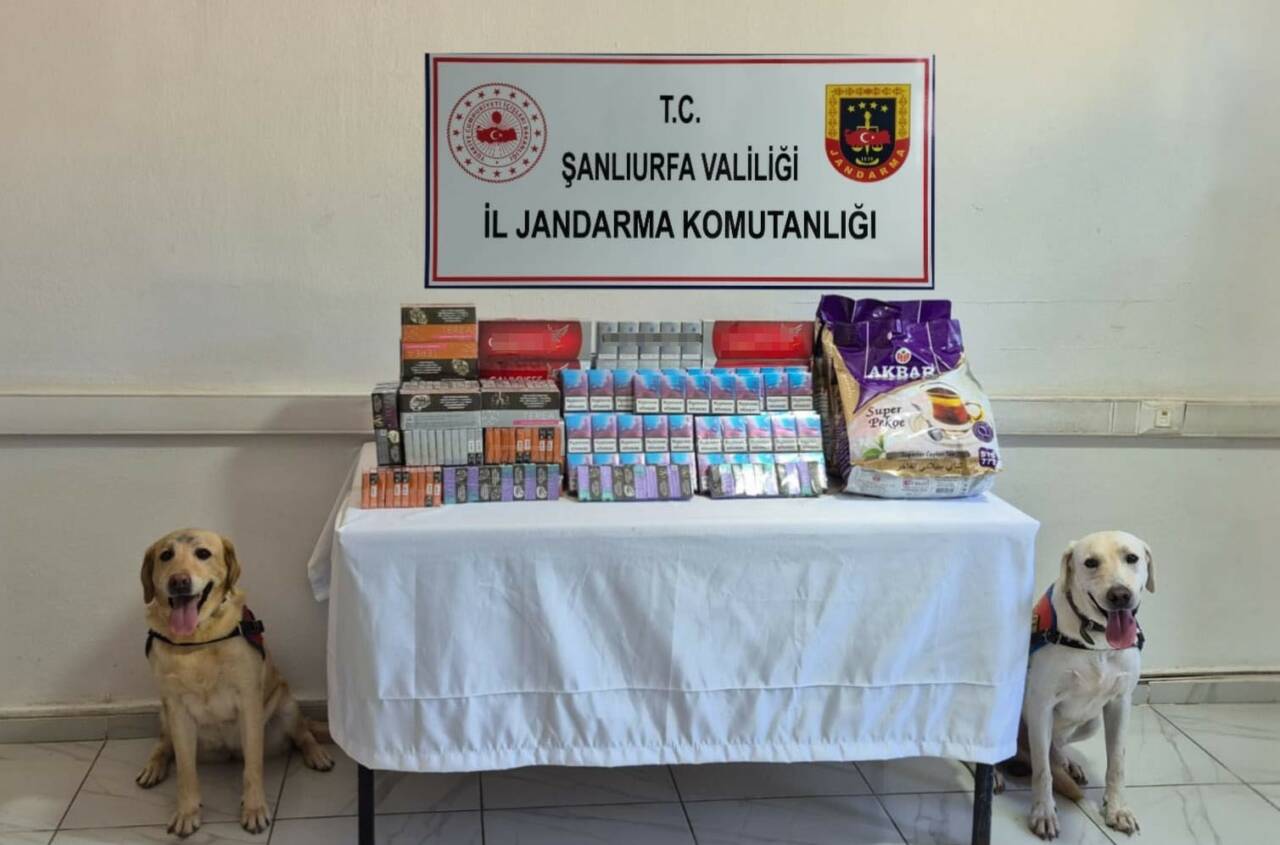 Şanlıurfa İl Jandarma Komutanlığı ekipleri tütün ve alkol kaçakçılarına yönelik