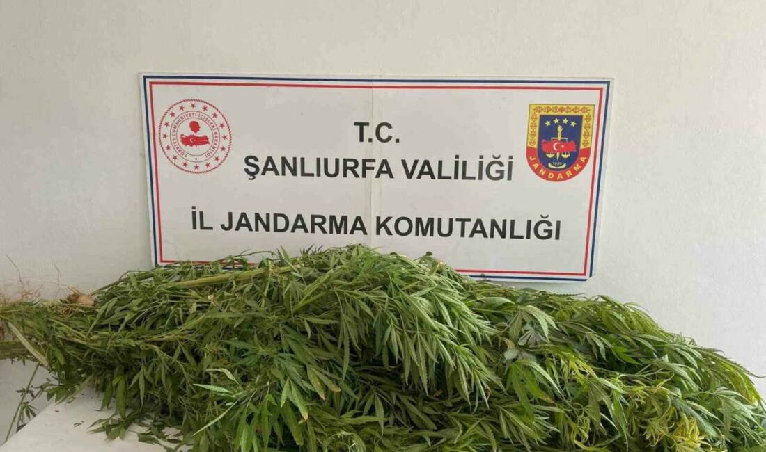 Şanlıurfa'nın Birecik ve Viranşehir ilçelerinde gerçekleştirilen uyuşturucu operasyonunda 2 şüpheli