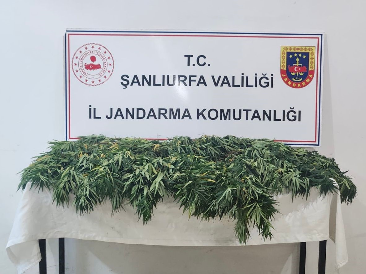 Şanlıurfa'da gerçekleştirilen operasyonda 2 bin 652 adet uyuşturucu hap ile