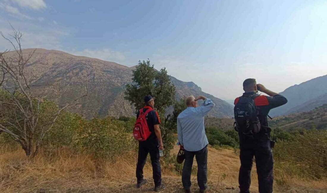 Şirvan ilçesinde kaybolan 64 yaşındaki zihinsel engelli Şirin Kavit, 2