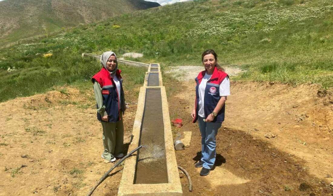 Pervari ilçesine bağlı Gökbudak köyünde, hayvancılığın geliştirilmesi ve mera verimliliğinin