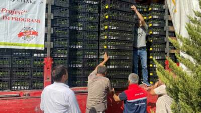 Siirt'te Tarım ve Orman Bakanlığı'nın Marul ve Karnabahar Üretim Projesi