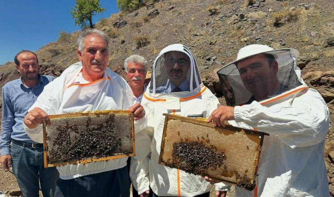 Sincik ilçesinde yüksek rakımlı yaylalarda organik yöntemlerle üretilen balların hasadı