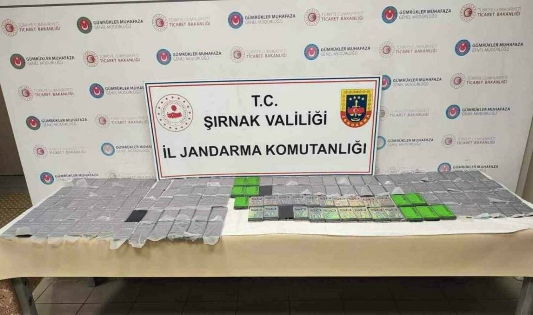 Şırnak'ta jandarma personelinin yaptığı faaliyetler sonucunda gerçekleştirilen operasyonlarda 8 milyon