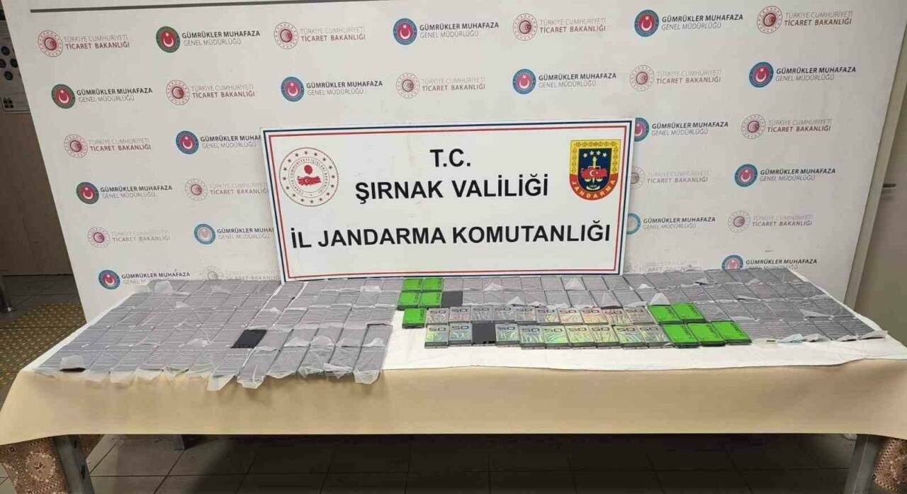 Şırnak'ta jandarma personelinin yaptığı faaliyetler sonucunda gerçekleştirilen operasyonlarda 8 milyon