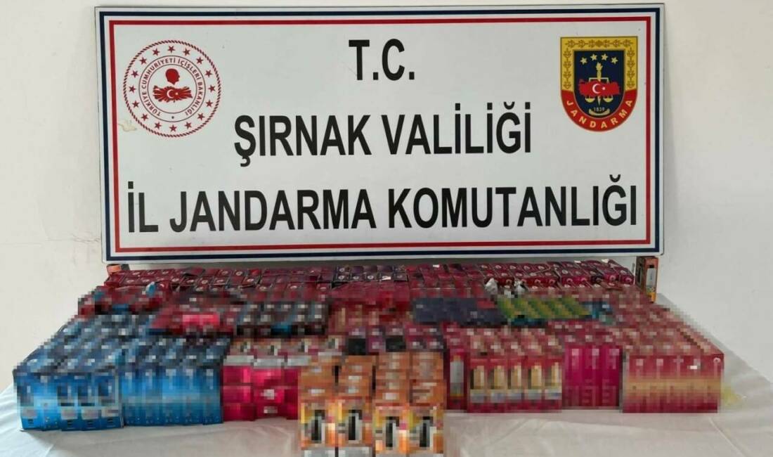 Şırnak'ta İl Jandarma Komutanlığı ekipleri tarafından yapılan operasyonlarda 35 ayrı