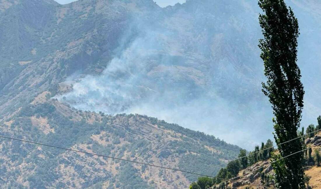 Şırnak'ın Beytüşşebap ilçesine bağlı Başaran köyünün Harguri bölgesinde ormanlık alanda