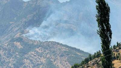 Şırnak'ın Beytüşşebap ilçesine bağlı Başaran köyünün Harguri bölgesinde ormanlık alanda
