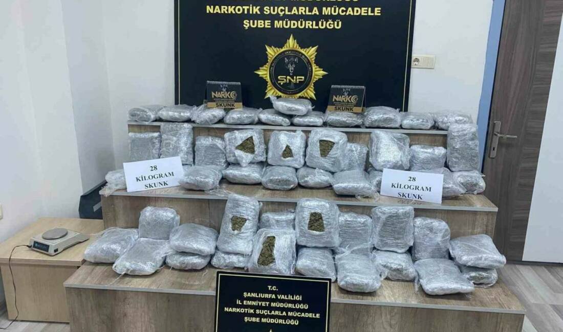 Siverek ilçesinde düzenlenen operasyonda polis ekipleri 28 kilo skunk ele