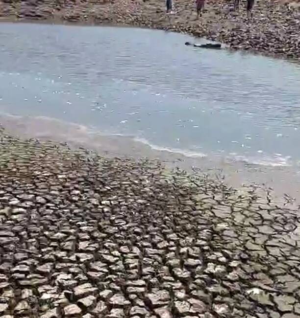 Sumaklı Mahallesi'ndeki gölette suyun çekilmesi sonucu balıklar telef oldu. Balıkların