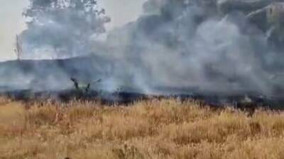 Adıyaman'ın Tut ilçesinde Asarkaya mevkiinde bulunan ormanlık alanda çıkan örtü