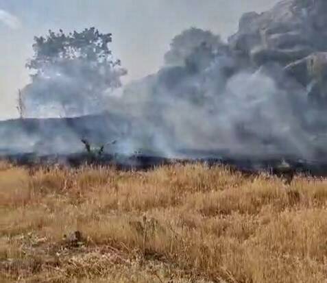 Adıyaman'ın Tut ilçesinde Asarkaya mevkiinde bulunan ormanlık alanda çıkan örtü