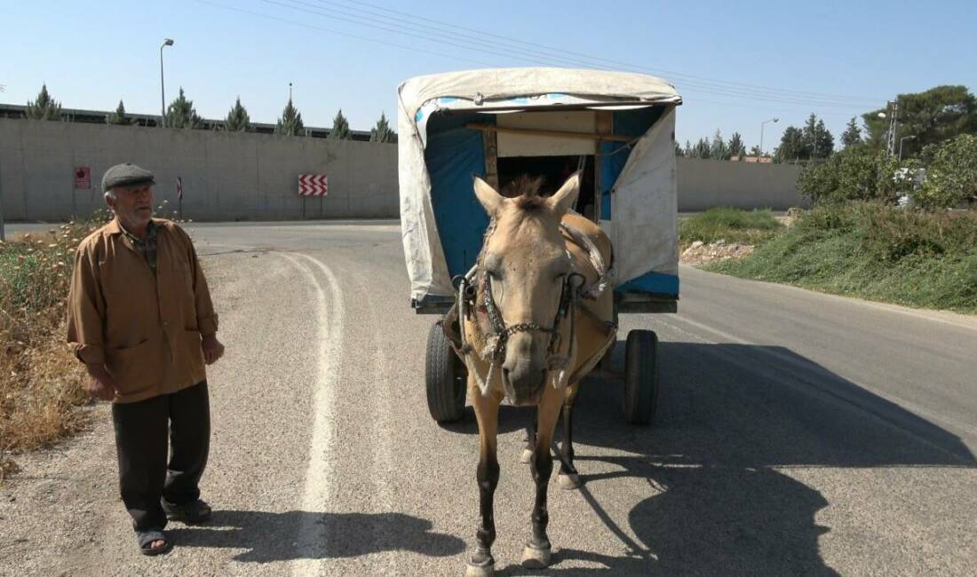 Kilis'in Elbeyli ilçesinde yaşayan 75 yaşındaki Ramazan Doğan, unutulmaya yüz
