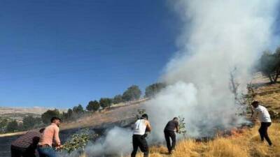 Adıyaman'ın Gerger ilçesine bağlı Çobanpınar Köyü'nde çıkan anız yangınına müdahale