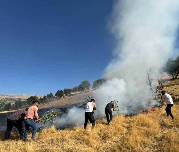 Yangına müdahale eden 7 işçi dumandan etkilendi Adıyaman'ın Gerger ilçesine bağlı Çobanpınar Köyü'nde çıkan anız yangınına müdahale