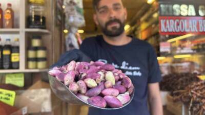 Gaziantep'te Antep fıstığı hasadının başlamasıyla birlikte taze Antep fıstığı tezgahlardaki