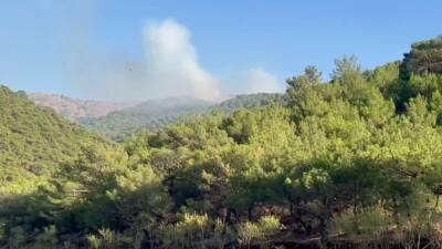 Adıyaman'da ormanlık alanda çıkan yangın, havadan ve karadan yapılan müdahale